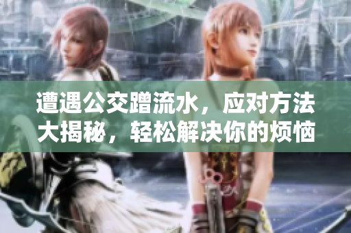 遭遇公交蹭流水，應對方法大揭秘，輕松解決你的煩惱