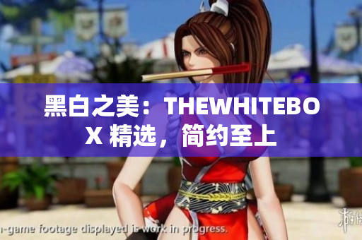黑白之美：THEWHITEBOX 精選，簡(jiǎn)約至上