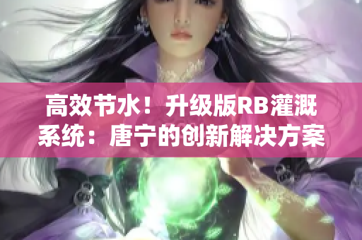 高效節(jié)水！升級(jí)版RB灌溉系統(tǒng)：唐寧的創(chuàng)新解決方案