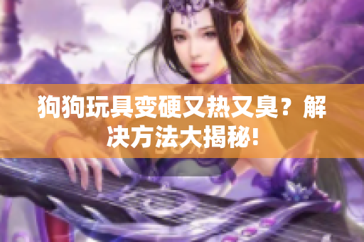 狗狗玩具變硬又熱又臭？解決方法大揭秘!