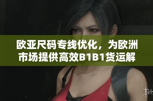 歐亞尺碼專線優(yōu)化，為歐洲市場提供高效B1B1貨運(yùn)解決方案