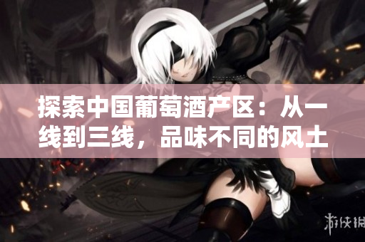 探索中國葡萄酒產(chǎn)區(qū)：從一線到三線，品味不同的風(fēng)土人情與葡萄品種