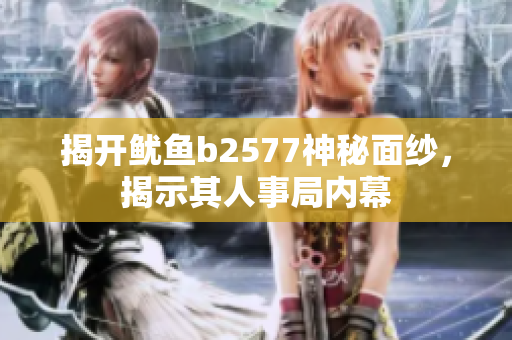 揭開魷魚b2577神秘面紗，揭示其人事局內(nèi)幕
