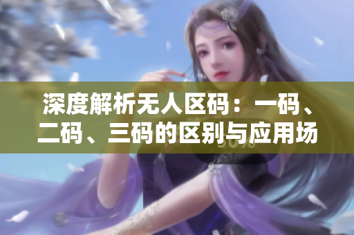 深度解析無人區(qū)碼：一碼、二碼、三碼的區(qū)別與應(yīng)用場景揭秘