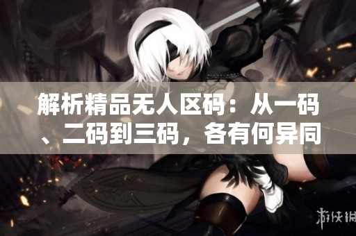 解析精品無人區(qū)碼：從一碼、二碼到三碼，各有何異同？