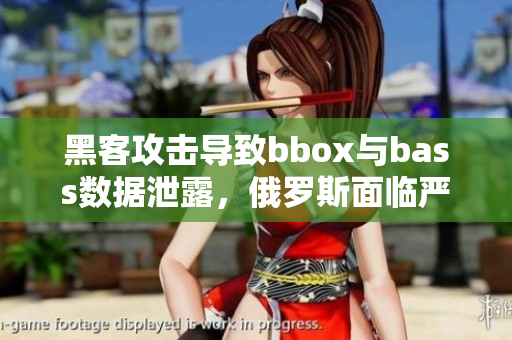 黑客攻擊導(dǎo)致bbox與bass數(shù)據(jù)泄露，俄羅斯面臨嚴(yán)重網(wǎng)絡(luò)安全挑戰(zhàn)