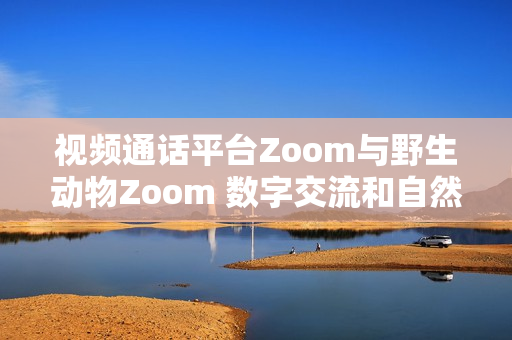 視頻通話平臺(tái)Zoom與野生動(dòng)物Zoom 數(shù)字交流和自然奇觀的奇妙對(duì)話