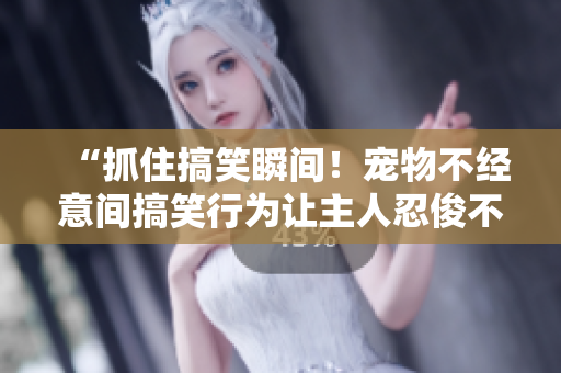 “抓住搞笑瞬間！寵物不經(jīng)意間搞笑行為讓主人忍俊不禁！”