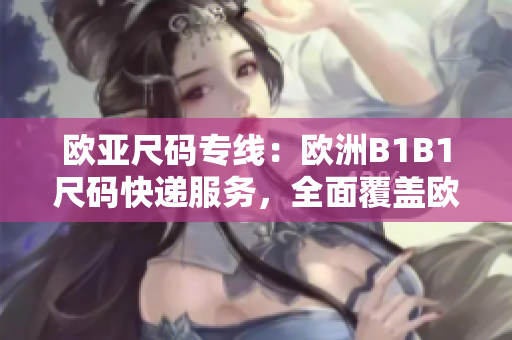 歐亞尺碼專線：歐洲B1B1尺碼快遞服務，全面覆蓋歐洲地區(qū)