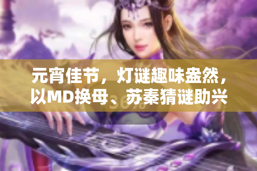 元宵佳節(jié)，燈謎趣味盎然，以MD換母、蘇秦猜謎助興
