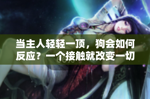 當(dāng)主人輕輕一頂，狗會(huì)如何反應(yīng)？一個(gè)接觸就改變一切的親密時(shí)刻。