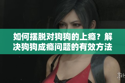 如何擺脫對狗狗的上癮？解決狗狗成癮問題的有效方法