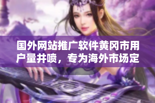 國外網(wǎng)站推廣軟件黃岡市用戶量井噴，專為海外市場定制解決方案