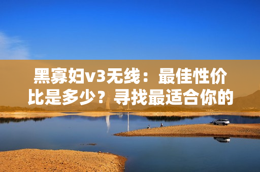 黑寡婦v3無線：最佳性價比是多少？尋找最適合你的入門價。