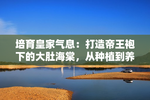 培育皇家氣息：打造帝王袍下的大肚海棠，從種植到養(yǎng)護(hù)一攬皆全
