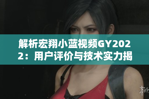 解析宏翔小藍(lán)視頻GY2022：用戶評價與技術(shù)實(shí)力揭秘
