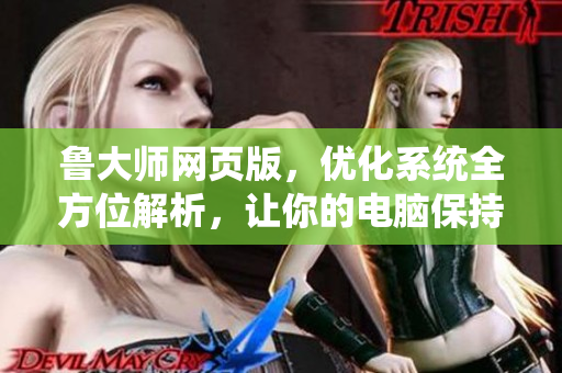 魯大師網(wǎng)頁版，優(yōu)化系統(tǒng)全方位解析，讓你的電腦保持良好狀態(tài)