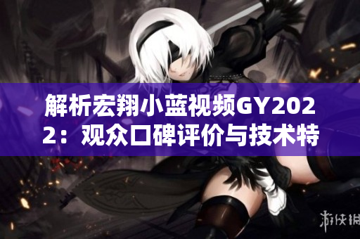 解析宏翔小藍視頻GY2022：觀眾口碑評價與技術特點綜述