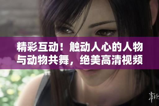 精彩互動(dòng)！觸動(dòng)人心的人物與動(dòng)物共舞，絕美高清視頻素材即刻下載！