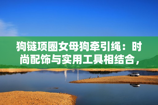 狗鏈項圈女母狗牽引繩：時尚配飾與實用工具相結合，帶有鈴鐺設計增添樂趣