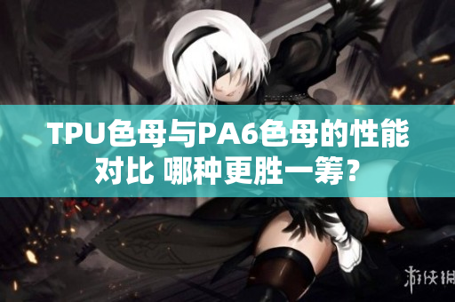 TPU色母與PA6色母的性能對(duì)比 哪種更勝一籌？