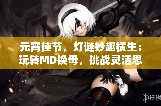 元宵佳節(jié)，燈謎妙趣橫生：玩轉(zhuǎn)MD換母，挑戰(zhàn)靈活思維
