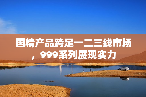 國精產(chǎn)品跨足一二三線市場，999系列展現(xiàn)實力