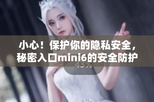 小心！保護你的隱私安全，秘密入口mini6的安全防護全解析