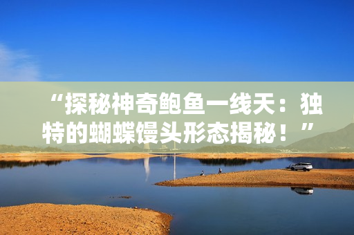 “探秘神奇鮑魚一線天：獨特的蝴蝶饅頭形態(tài)揭秘！”