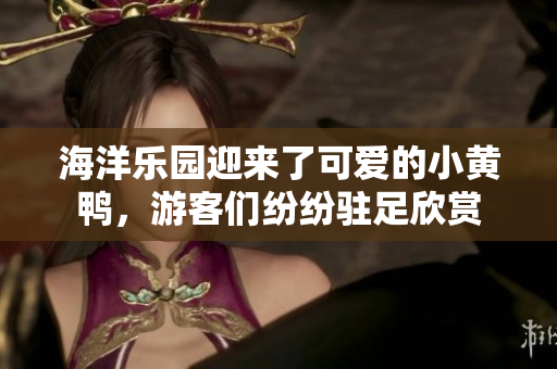 海洋樂(lè)園迎來(lái)了可愛的小黃鴨，游客們紛紛駐足欣賞