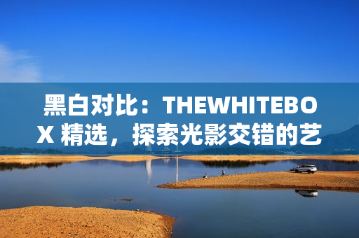 黑白對比：THEWHITEBOX 精選，探索光影交錯(cuò)的藝術(shù)世界