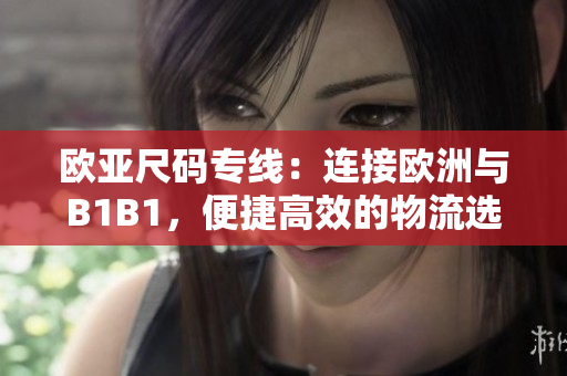 歐亞尺碼專線：連接歐洲與B1B1，便捷高效的物流選擇