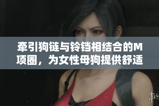 牽引狗鏈與鈴鐺相結(jié)合的M項圈，為女性母狗提供舒適與引導(dǎo)。