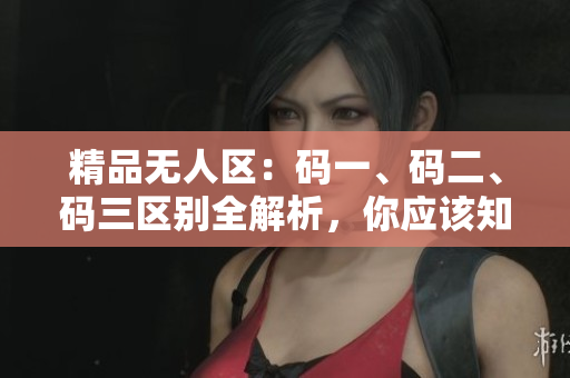 精品無(wú)人區(qū)：碼一、碼二、碼三區(qū)別全解析，你應(yīng)該知道的關(guān)鍵差異