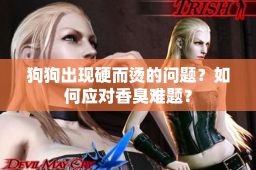狗狗出現(xiàn)硬而燙的問題？如何應(yīng)對香臭難題？