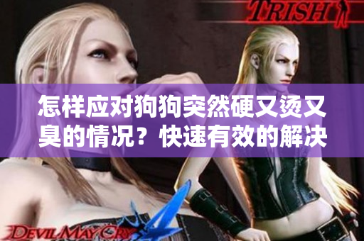 怎樣應(yīng)對狗狗突然硬又燙又臭的情況？快速有效的解決方法分享