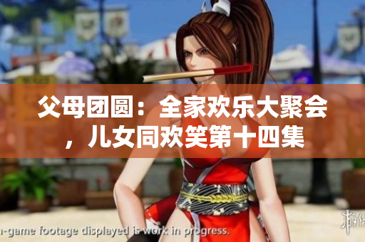 父母團圓：全家歡樂大聚會，兒女同歡笑第十四集