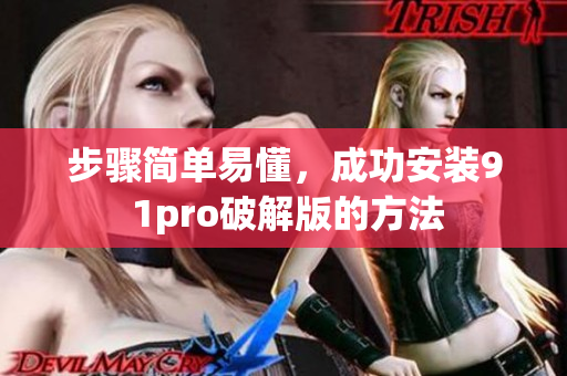 步驟簡單易懂，成功安裝9 1pro破解版的方法
