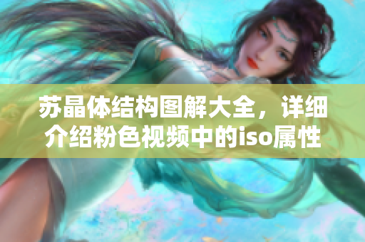 蘇晶體結(jié)構(gòu)圖解大全，詳細(xì)介紹粉色視頻中的iso屬性