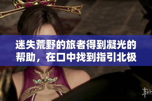迷失荒野的旅者得到凝光的幫助，在口中找到指引北極星 尋找回家的旅者