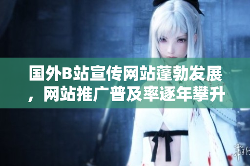 國外B站宣傳網(wǎng)站蓬勃發(fā)展，網(wǎng)站推廣普及率逐年攀升