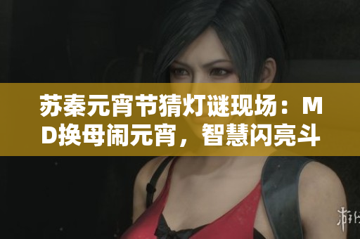 蘇秦元宵節(jié)猜燈謎現(xiàn)場：MD換母鬧元宵，智慧閃亮斗燈謎