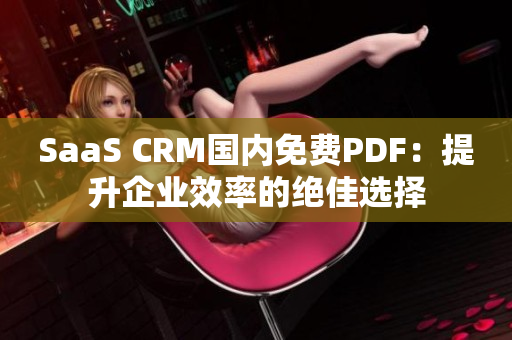 SaaS CRM國內(nèi)免費PDF：提升企業(yè)效率的絕佳選擇