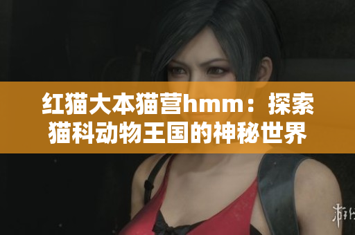 紅貓大本貓營hmm：探索貓科動物王國的神秘世界
