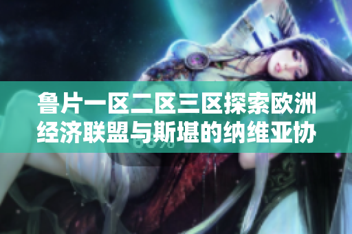 魯片一區(qū)二區(qū)三區(qū)探索歐洲經濟聯盟與斯堪的納維亞協議的關系