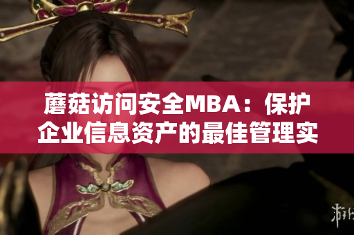 蘑菇訪問安全MBA：保護企業(yè)信息資產(chǎn)的最佳管理實踐