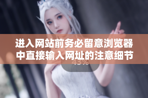 進入網(wǎng)站前務(wù)必留意瀏覽器中直接輸入網(wǎng)址的注意細節(jié)