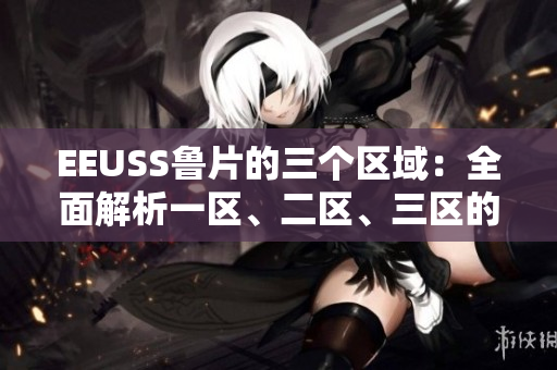 EEUSS魯片的三個(gè)區(qū)域：全面解析一區(qū)、二區(qū)、三區(qū)的特色與魅力