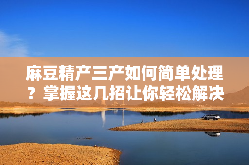 麻豆精產三產如何簡單處理？掌握這幾招讓你輕松解決！