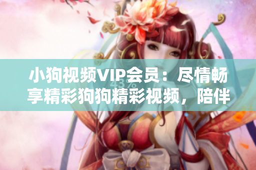 小狗視頻VIP會(huì)員：盡情暢享精彩狗狗精彩視頻，陪伴您的生活時(shí)刻